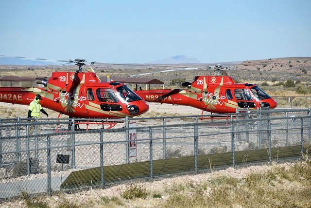 Fra usynlig til synlig: Casestudier i succesfuld gds seo